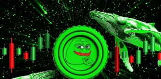 Analyst Foresees a Parabolic Rally for Pepe Coin Price as Whale Accumulation Intensifies