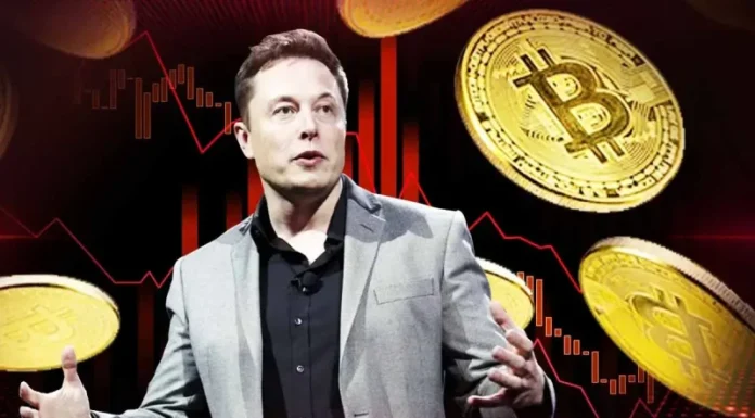 BREAKING: Elon Musk Endorses Bitcoin Again After Years Amid Crypto Bloodbath