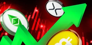 BTC, ETH, XRP Treasury Firms Hit Hard Amid Crypto Crash- Will Wall Street Hold Or Sell?