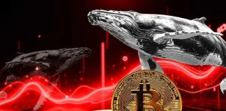Bitcoin Price Faces Further Crash as Whales Liquidates Recently Bought BTC: Report