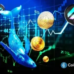 Dormant Bitcoin Whale Awakens with $30M Profit