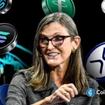 Cathie Wood Predicts Crypto Market Recovery as Liquidity Squeeze Ends