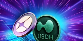 USDH Launch Boosts Hyperliquid Amid Competitive Market Pressure