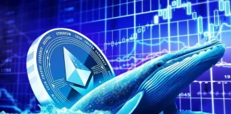 Is Ethereum Price Set for a rebound as Whale accumulation Intensifies?