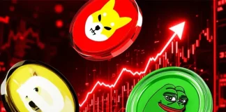 Meme Coin Market Dead? Top 5 Reasons Dogecoin, Shiba Inu, and Pepe Are Crashing