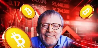 Peter Brandt Warns Bitcoin Could Dip Below Strategy’s Average Purchase Price as MSTR’s mNAV Falls