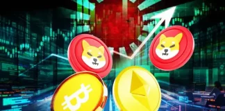 Shiba Inu Joins Bitcoin and Ethereum as Japan Approves SHIB for Green List Trading