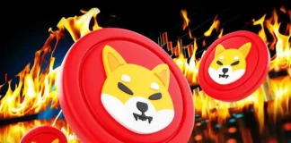 Will Shiba Inu Price Recover After the Crypto Crash As Burn Rate Soars 8,194%?