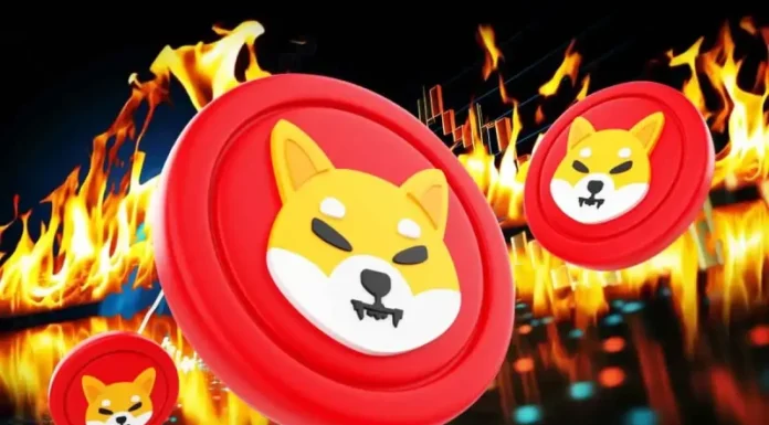 Will Shiba Inu Price Recover After the Crypto Crash As Burn Rate Soars 8,194%?