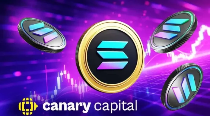 Solana Price Set for Q4 Surge as Canary Capital ETF Filing Meets Wyckoff Accumulation