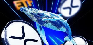 Spot XRP ETF Records First Outflow of Over $40 Million, Here’s Why