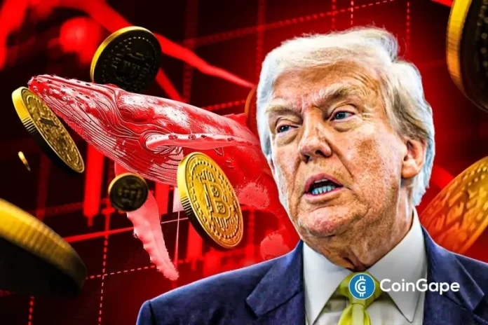 The “Trump Insider Whale” has returned with another massive short position on Bitcoin. The move comes just hours before President Trump’s crypto-related announcement, scheduled for today. This has led to renewed fears of a possible crypto crash. Insider Who Shorted the Last Crypto Crash Returns The trader, nicknamed the “Trump Insider Whale,” made headlines last
The post <a href="https://coingape.com/trump-insider-whale-opens-127m-short-on-bitcoin-ahead-of-trumps-big-announcement-is-another-crypto-crash-ahead/">“Trump Insider Whale” Opens $127M Short on Bitcoin Ahead of Trump’s Big Announcement- Is Another Crypto Crash Ahead?</a> appeared first on <a href="https://coingape.com/">CoinGape</a>.