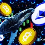 Whales and Institutions Bet Big On Bitcoin And Ethereum Despite Market Dip