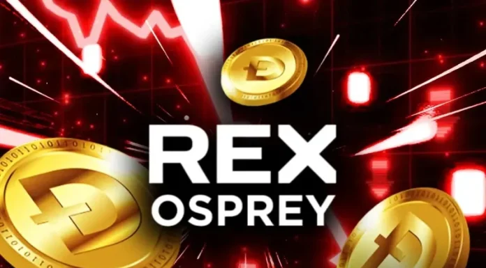 Why is Dogecoin Price Crashing Today Ahead of the Rex Osprey DOGE ETF Debut?