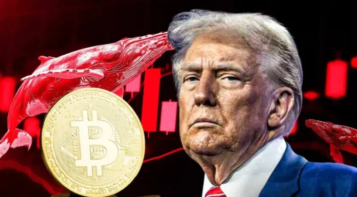 Bitcoin Sell-Off Ahead? Garett Jin Moves $760M BTC to Binance Amid Trump’s New Tariffs