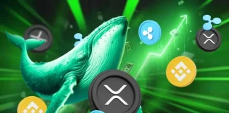 XRP Whale Inflows on Binance Hit 2-Year Low; Ripple Token Price Slips