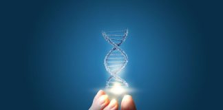 Top 4 NASDAQ Genetics Stocks (Updated January 2026)