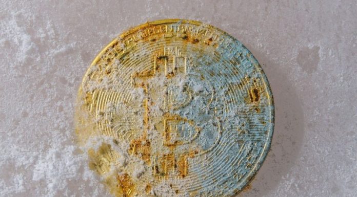 Crypto Market Update: Bitcoin Price Slide Continues Despite Rising Open Interest