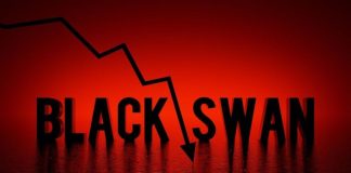 Gold Boom, AI Bubble and Black Swans: Where is the Risk?