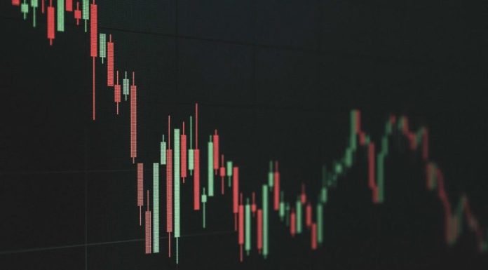 Crypto Market Update: Crypto Sector Sheds 2025 Gains, UNDP Launches Blockchain Training