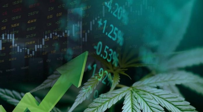 Is 2026 The Year The Cannabis Industry Matures?