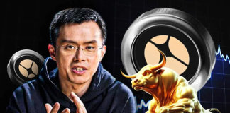 Changpeng Zhao Sparks Bull Run Aster Price Jumps 10%, Eyes $2 Breakout
