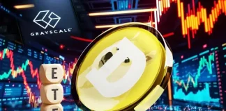 Dogecoin Price Eyes $0.2 Rally Ahead of Grayscale’s NYSE ETF Debut on November 24
