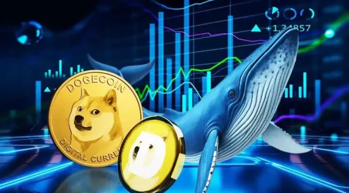 Dogecoin Price Eyes Recovery Above $0.20 as Whales Scoop Up 27.4 Billion DOGE.