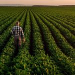 Agriculture Market Update: Q3 2025 in Review