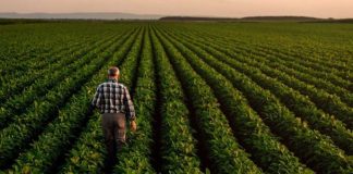 Agriculture Market Update: Q3 2025 in Review