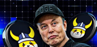 ‘Floki Is The CEO’: FLOKI Surges Over 20% After Elon Musk’s Name Drop