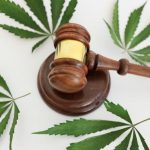 Hemp THC Recriminalization: A Blow to a Blooming Industry