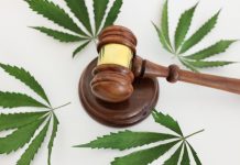 Hemp THC Recriminalization: A Blow to a Blooming Industry