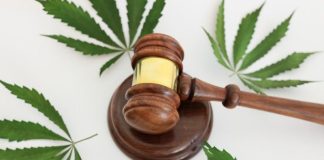 Hemp THC Recriminalization: A Blow to a Blooming Industry
