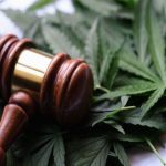 Cannabis Crossroads: Record US Demand Meets Federal Gridlock