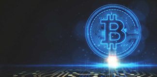 Crypto Market Update: Institutional Treasuries Sharply Scale Back Bitcoin Acquisitions