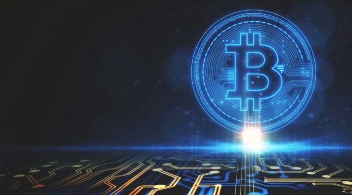 Crypto Market Update: Institutional Treasuries Sharply Scale Back Bitcoin Acquisitions