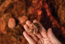 PPC, Lundin Freeze 2026 Processing Fees as Smelters Near Breaking Point