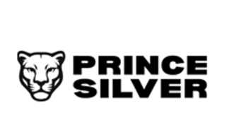 Strong Initial Silver-Gold-Manganese Mineralization at Prince Silver Project