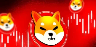 Shiba Inu Price Soars 5%: Is SHIB About to Erase Another Zero?