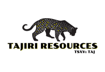 Tajiri Discovers Potentially Economic Gold Mineralization in Multiple Trenches at Yono Property Including: 12m@ 2.4 g/t; 20m@ 1.4g/t; 8m@ 1.0g/t; 18m@ 0.8g/t & 4m@ 5.5g/t Gold; Bordered by G Mining Ventures Oko West and G2 Goldfields Oko Properties, Guyana