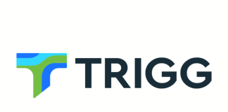 Trigg Minerals