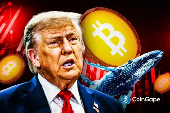 The entity known as the “Trump Insider Whale” has deepened his bearish stance against Bitcoin. He expanded his short positions to $485 million as the Bitcoin price experiences another sharp downturn. The move, disclosed by Arkham Intelligence, comes as Bitcoin faces intensified selling pressure following large-scale BTC deposits by BlackRock to Coinbase Prime. Hyperunit Whale
The post <a href="https://coingape.com/trump-insider-whale-increases-bitcoin-short-to-485m/">‘Trump Insider Whale’ Increases Bitcoin Short to $485M Amid Crypto Market Crash</a> appeared first on <a href="https://coingape.com/">CoinGape</a>.